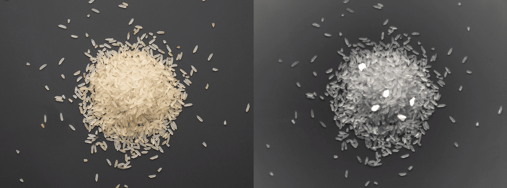 rice in IR view