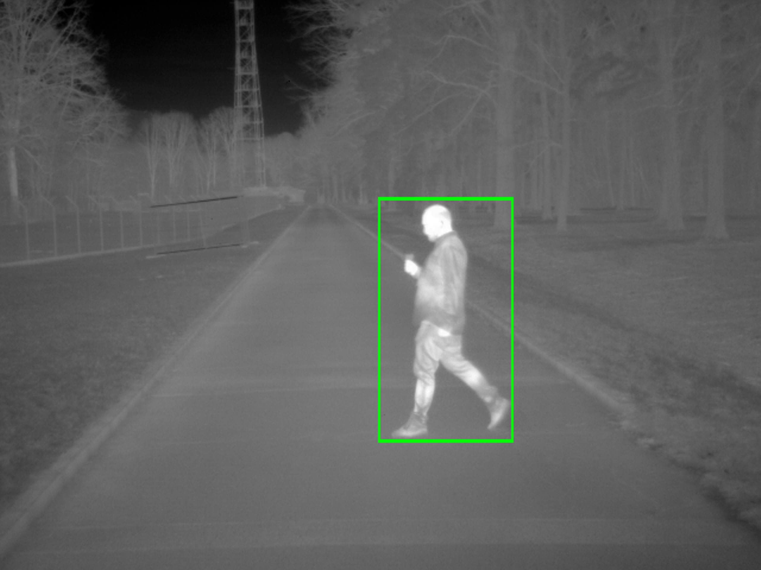 Pedestrian crossing a road in thermal view
